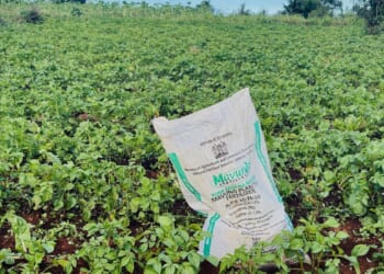 The war in Iran sparks a global fertilizer shortage and threatens food prices