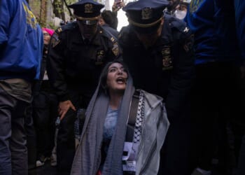 Plot to firebomb Palestinian activist’s home disrupted by NYPD undercover operation