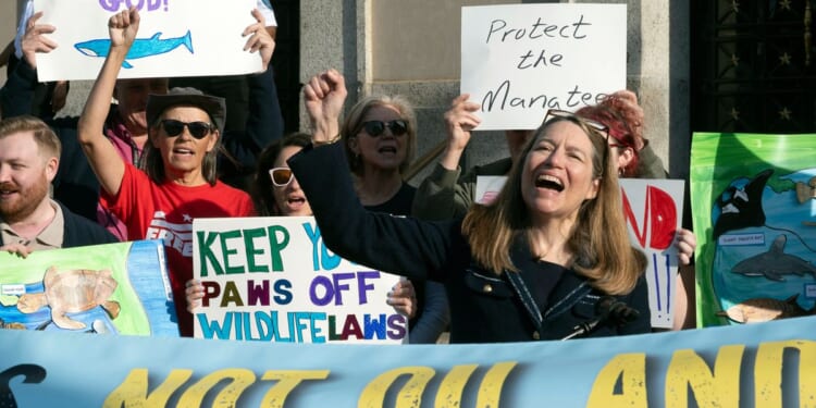 Trump’s ‘God Squad’ exempts Gulf of America oil production from environmental rules