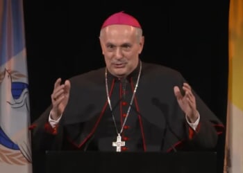 American-Born Pope Leo XVI Appoints New Personal Representative To His Home Country