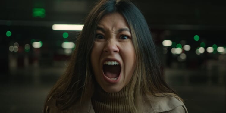 Anti-ICE Karen Confronts Agents as They Arrest Crying Illegal Alien in San Fran Airport [WATCH]