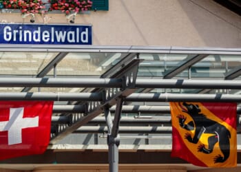 Canton of Bern Refuses To Let Go of Bear’s Red Penis