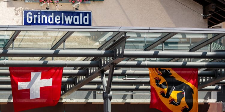 Canton of Bern Refuses To Let Go of Bear’s Red Penis