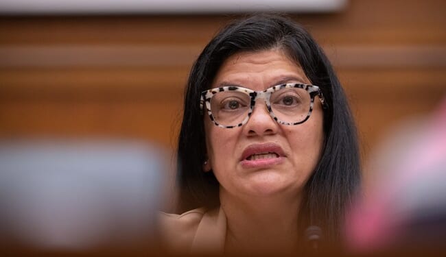 Community Notes Drops Mother of ALL Truth Bombs on Rashida Tlaib and Her Repugnant, Anti-American LIE – Twitchy