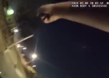 Daredevil Cop Hitches a Ride on the Hood of a Car During Pursuit [WATCH]