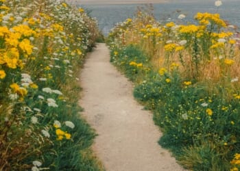 Darren Millar: Wales has had enough of Labour - but there is a pathway to real change