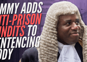 David Lammy Appoints Anti-Imprisonment Campaigners to Sentencing Council – Guido Fawkes
