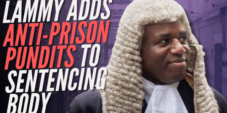 David Lammy Appoints Anti-Imprisonment Campaigners to Sentencing Council – Guido Fawkes