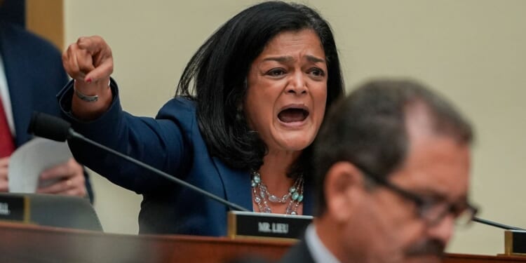 Dem Rep Jayapal Calls for Reparations for Illegal Aliens Traumatized by ICE [WATCH]
