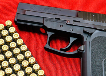 Due Process Before Disarmament | The American Spectator