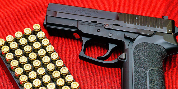 Due Process Before Disarmament | The American Spectator