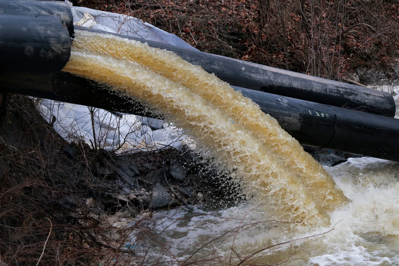Photo by Heather Diehl/Getty Images
