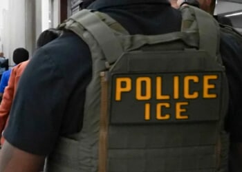 EXCLUSIVE: ICE Arrests Multiple Illegal Alien Pedophiles In One Day, DHS Says