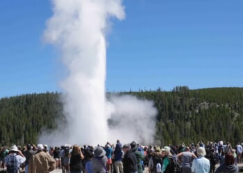 Echinus, Earth’s Biggest Acidic Geyser, Erupts For First Time Since 2020 At Yellowstone National Park