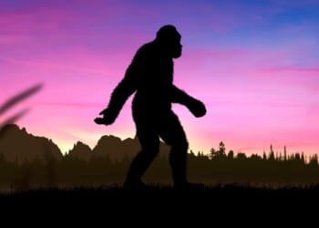 Eight Bigfoot Sightings Rock Ohio in Just 5 Days [WATCH]