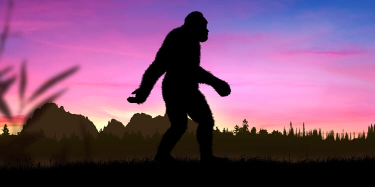 Eight Bigfoot Sightings Rock Ohio in Just 5 Days [WATCH]