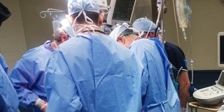 Fact vs. Fiction on Medicaid and the Wealth Tax | The American Spectator