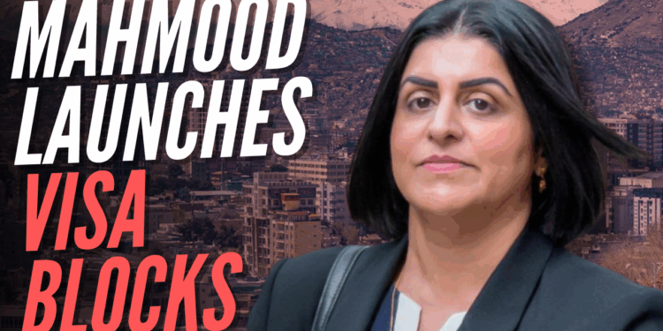 Government Blocks Study Visas for Four Nations With Abnormally High Asylum Claims – Guido Fawkes