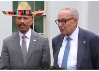 Hakeem Jeffries Gives Up the Plot About Why They're REALLY Blocking DHS Funding (Watch) – Twitchy