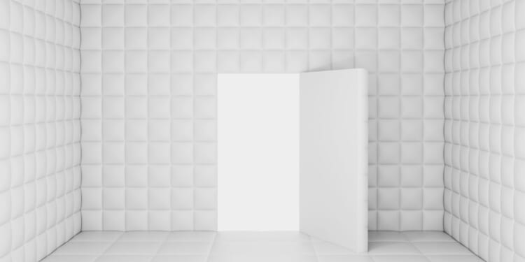 Hawaii Man Gets Awarded $975K After Years Locked in Psych Ward Over Mistaken Identity