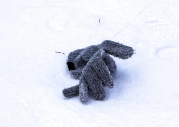 Homeless Man, 58, Found Dead in the Snow Near Central Park Carousel After Blizzard