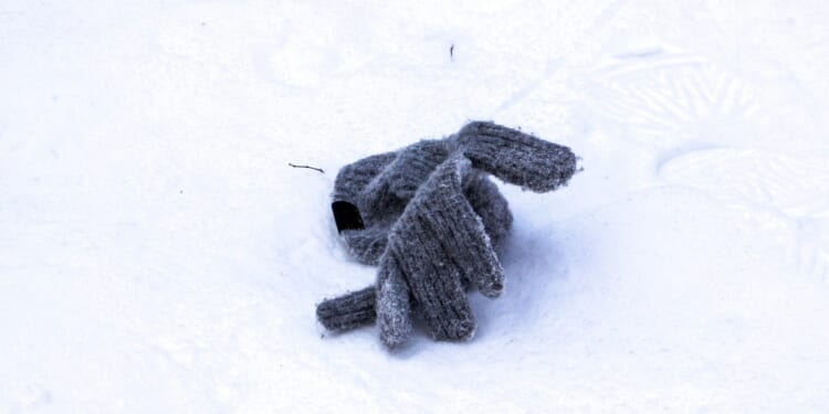 Homeless Man, 58, Found Dead in the Snow Near Central Park Carousel After Blizzard