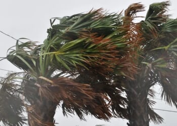 Hurricane Season ’26: Here Are Storm Names For Weather’s Most Powerful Force
