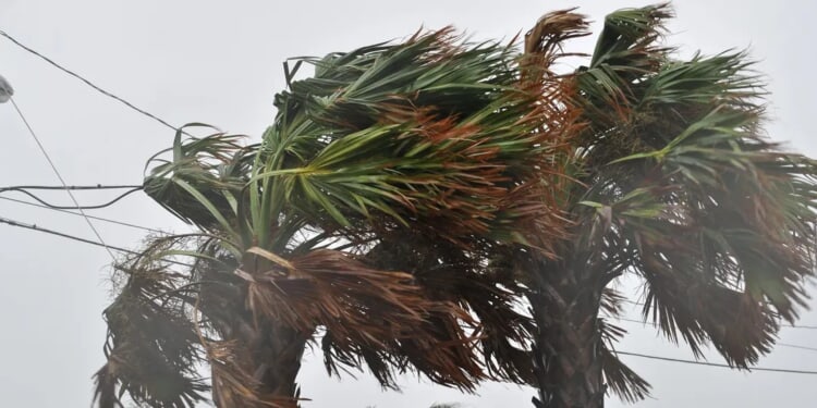 Hurricane Season ’26: Here Are Storm Names For Weather’s Most Powerful Force