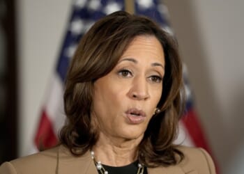 Iranian-American Journo Masiah Alinejad Has a DIRECT MESSAGE Just for Kamala Harris and HOT DAMN (Watch) – Twitchy