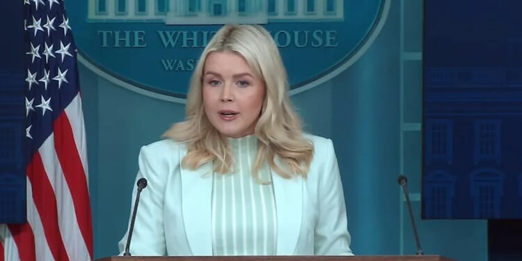 Karoline Leavitt Asked If Deportations Will Decline While ICE Does TSA Work