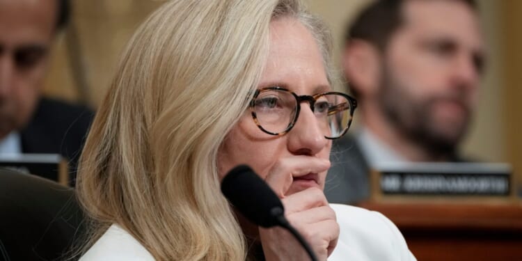 Leftists Override Voter Will for Permanent Democrat Power [WATCH]