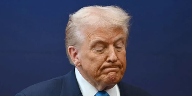 Listen To How Trump Reacts When Asked To Sit Next To Jessica Tarlov On ‘The Five’