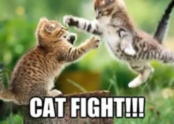 ME-OOOUCH! AOC and Ana Kasparin Get Into VICIOUS Back and Forth About Who Hates Israel MORE and POPCORN – Twitchy