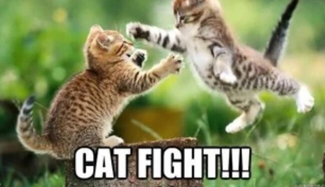 ME-OOOUCH! AOC and Ana Kasparin Get Into VICIOUS Back and Forth About Who Hates Israel MORE and POPCORN – Twitchy