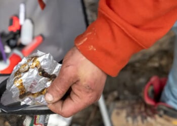 MICHELE STEEB: Addiction Is A Disease — Policy May Finally Catch Up