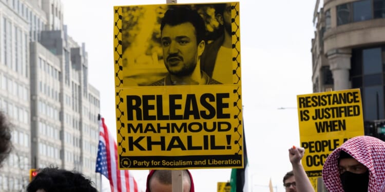 Mamdani Hosts Activist with Alleged Terror Ties After ISIS-Inspired Attack in NYC [WATCH]