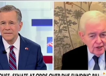 Newt Gingrich Asks Why Senate GOP Put ‘Totally Inappropriate’ Section In DHS Bill