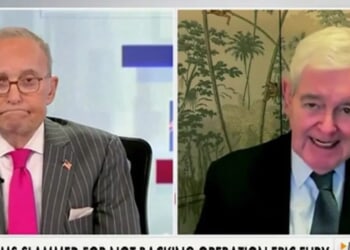 Newt Gingrich Says Democrats Just Gave Republicans ‘A Huge Gift’