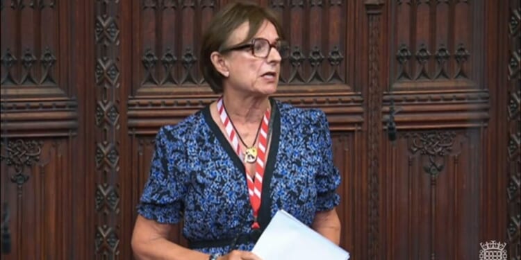 Peers speak out against plans to decriminalise abortion up to birth
