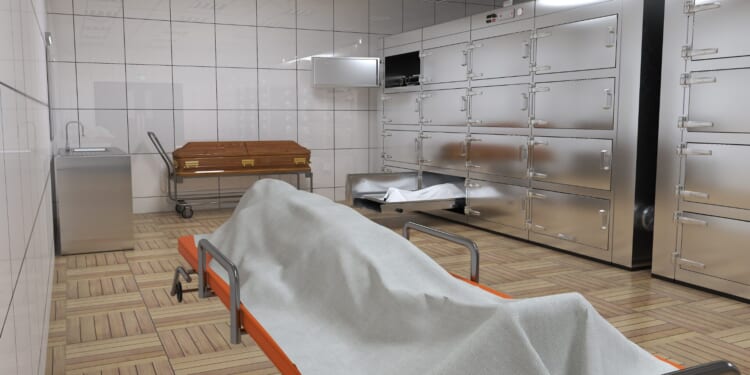 Rare Cause of Death Revealed After Idaho Mayor Hogaboam Dies During Public Meeting [WATCH]