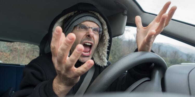 Road Rage Turns Deadly on I-495 as Woman, Dog Stabbed and Suspect Shot by Trooper [WATCH]