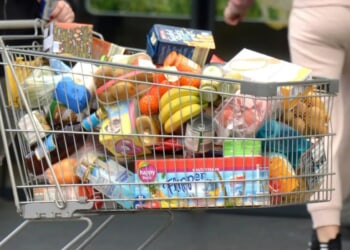 STEVE MILLOY: The Real Population Bomb