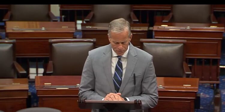 Senate GOP Needs New Leadership | The American Spectator