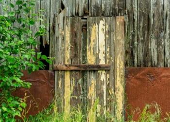 Singer, Actress Opens Sealed Door and Makes Disturbing Discovery Inside [WATCH]