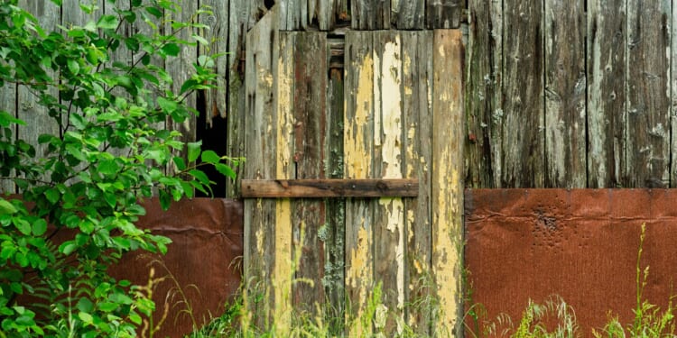 Singer, Actress Opens Sealed Door and Makes Disturbing Discovery Inside [WATCH]