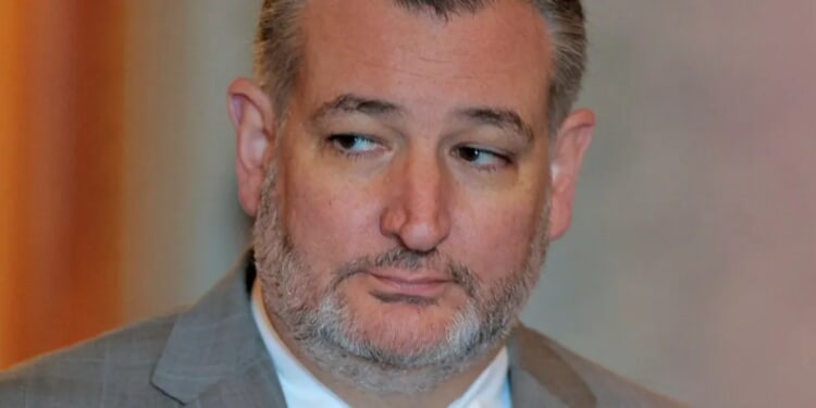 Ted Cruz Tells Conservatives To Engage In Sick Act Of Masochism