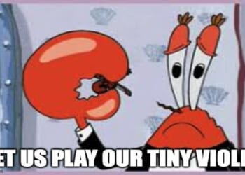 Teen Bomber's Family Lives Large in Luxury While He Hurls Bombs at Oppressors – Twitchy