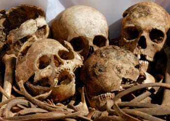 Texas Man Accused of Throwing Human Remains at FBI Office, Posts Video to YouTube [WATCH]