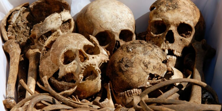 Texas Man Accused of Throwing Human Remains at FBI Office, Posts Video to YouTube [WATCH]