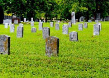 Try Running Over a Cop and You'll Be Planting Flowers From Six Feet Under [WATCH]